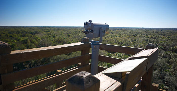 View from the top of the Myakka Canopy Walkway tower. Photo courtesy of naql.
