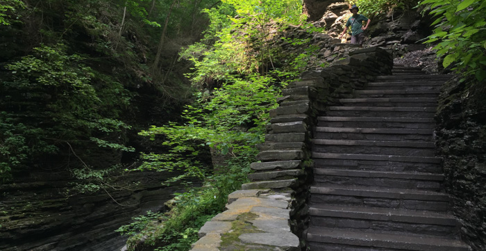 Stairs, stairs, and more stairs. Watkins Glen is a quite a climb!