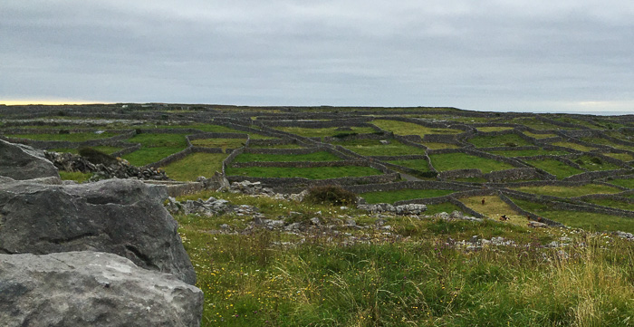 Looking down on the stone wall network on Inisheer