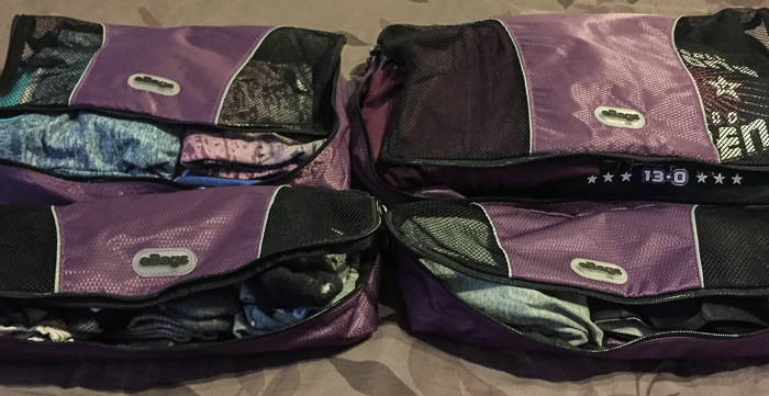 eBags packing cubes