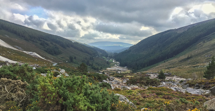 Traveling through the Wicklow Mountains