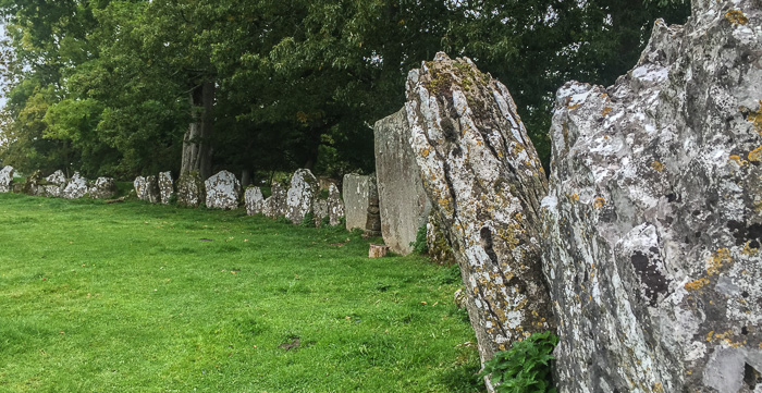 A portion of the Grange stone circle