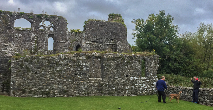 It was entertaining to watch some intense dog training on the grounds of Bridgetown Priory 