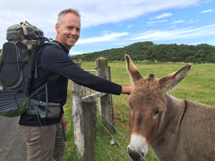 Chris befriends another donkey
