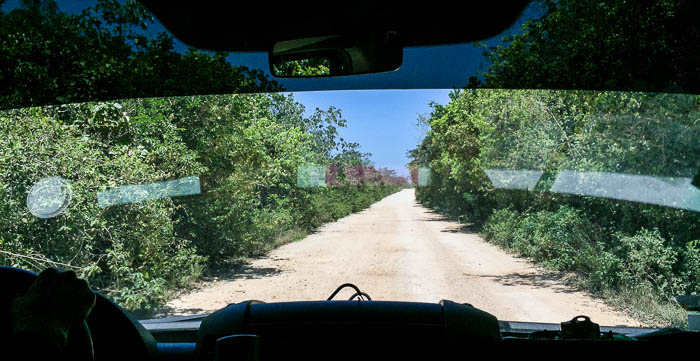 A typical road between cenotes. It was bumpier than it looks!