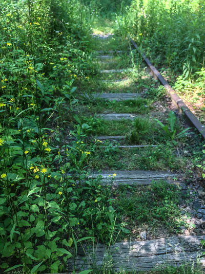 The trail followed an old railroad track for a short stretch.