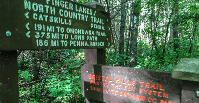 The Finger Lakes Trail meets the Bristol Hills Trail