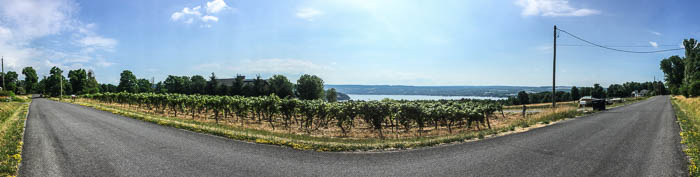 Normally road hiking feels a bit lame, but Cross Street had few cars, many vineyards, and glimpses of Lake Keuka below.