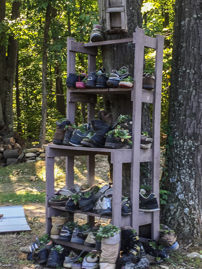 One small section of the "shoe garden" along Robbins Road.