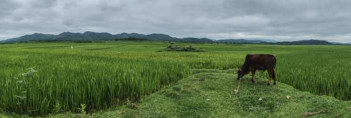 Moving inland, the terrain changed and we started to see expansive rice paddies with mountains in the distance. We loved how Sherlock always sought out smaller roads to give a more picturesque drive and view of life in the countryside.