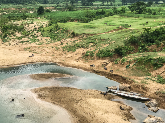 A lush river valley with water buffalo swimming in the river and lounging on the sand bar.