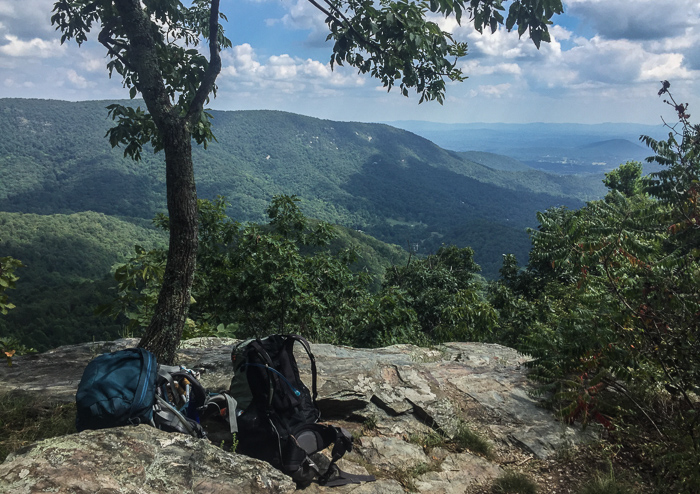 Our packs, looking over Powell Gap Hollow. Don't they look happy to be off our backs?